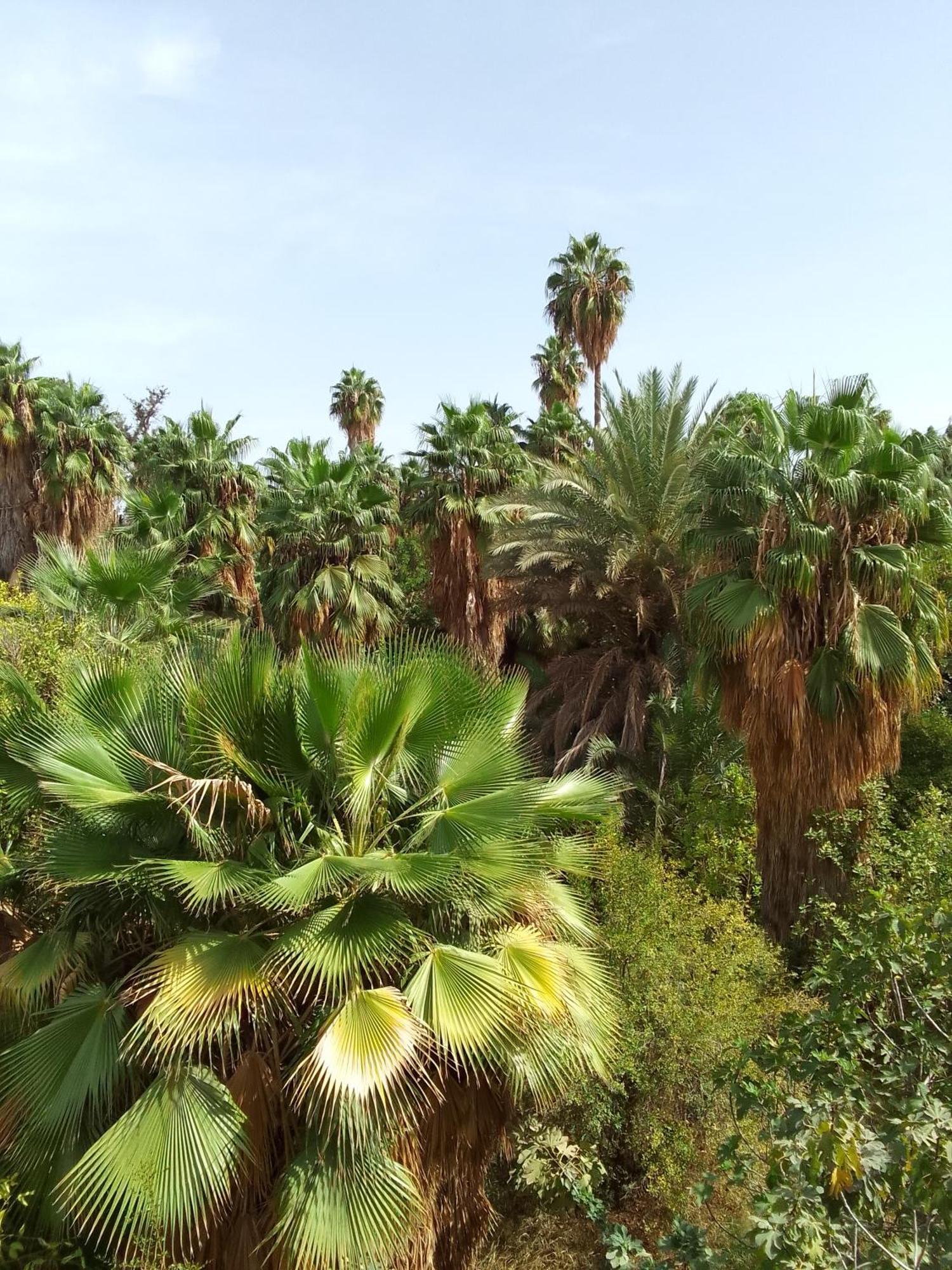 The Garden House - Medina Hotel Marrakesh Eksteriør billede